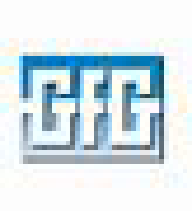 GFG Gas Detection GFG Gas Detection Devices